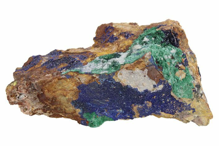 Azurite and Malachite Association on Matrix - Morocco #217803